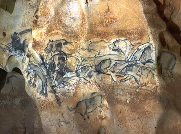 Dans la grotte Chauvet, les animaux sont souvent mis en scène. L'artiste a représenté ici des lions chassant des bisons. Ces fresques témoignent d'une grande maîtrise du dessin alors que l'époque est &nbsp;ancienne : environ 30.000 ans avant le présent. © Jean Clottes, DR