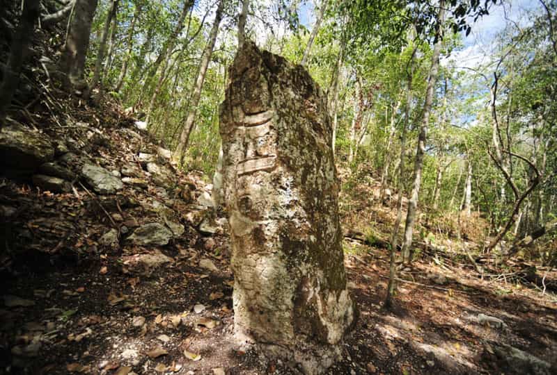 Les glyphes gravés sur les stèles dressées Maya servaient essentiellement à glorifier les rois, par exemple en rapportant des événements marquants de leurs règnes. © Inah
