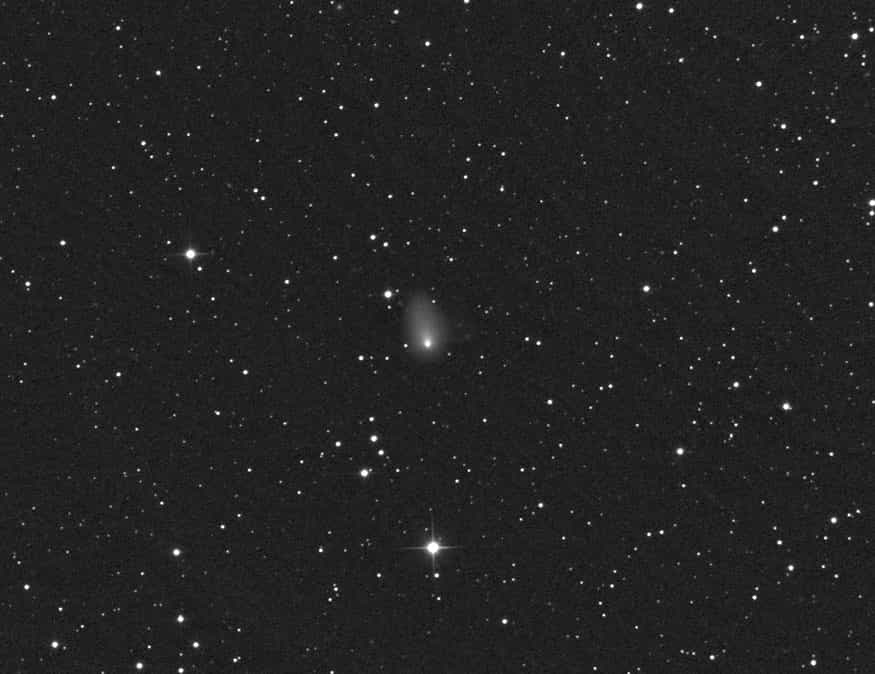 « Une comète très brillante » : Rolando Ligustri qualifie ainsi la comète C/2014 E2 (Jacques) qu’il a photographiée le 14 mars à l'observatoire australien de Siding Spring. Sa magnitude pourrait atteindre 10, voire 8 à la fin de l'été. © Rolando Ligustri