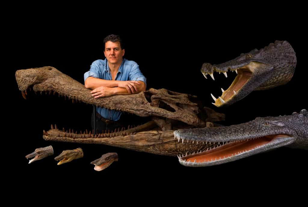 Paul Sereno avec ses crocodiles sahariens. Supercroc lui sert d'accoudoir. BoarCroc (Croc Sanglier) est en haut à droite, Pancake Croc (Croc Galette) en bas à droite. Les petites têtes, en bas à gauche, sont, respectivement, RatCroc, DogCroc et DuckCroc. © Mike Hettwer et National Geographic