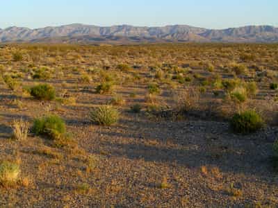 Le désert du Mojave, autour de La Vegas, où le phénomène du dégazage de l'azote des sols a été étudié. © Université de Cornell