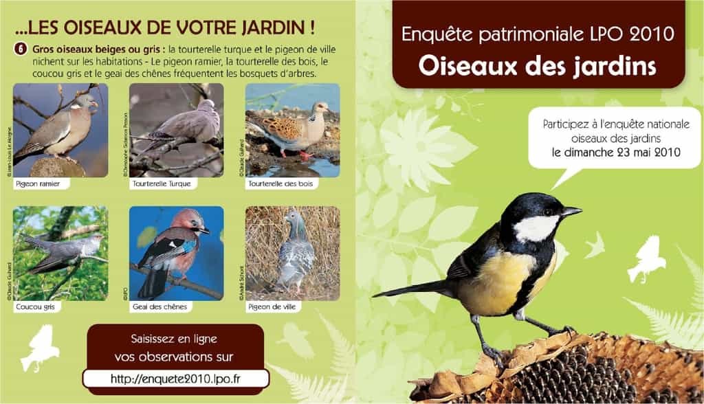 Un mini-guide d'identification simple et commode pour les oiseaux des jardins. © LPO