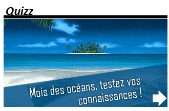 Découvrez les trésors cachés des mers et océans et testez vos connaissances avec Futura-Sciences. © Futura-Sciences