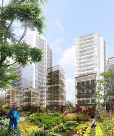 Avec les fermes urbaines, préparez-vous à récolter vos légumes au pied de votre immeuble de bureau ! © Tous droits réservés http://www.soa-architectes.fr/fr/