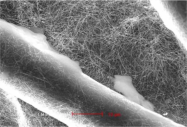 Une image du filtre au microscope électronique à balayage. Entre les fibres de coton (les plus grosses structures cylindriques) s'accrochent les nanofils d'argent. © Stanford University