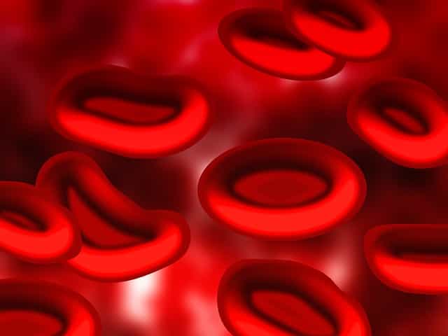 Chaque année, un million de malades sont sauvés grâce au don du sang en France. Mais des stocks importants sont nécessaires et doivent être renouvelés quotidiennement. Le sang artificiel sera-t-il la solution ? © geralt, Pixabay, DP