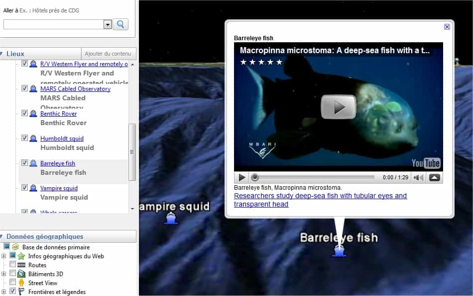 Le Barreleye fish, un poisson étonnant dont les yeux (les demi-globes de couleur verte) sont situés à l'intérieur d'un crâne transparent. Retrouvez les détails de sa découverte sur l'article que lui avait consacré Futura-Sciences. © MBARI/Google
