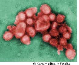Le virus A(H1N1) se propage désormais très vite. © Karelmedical/Fotolia
