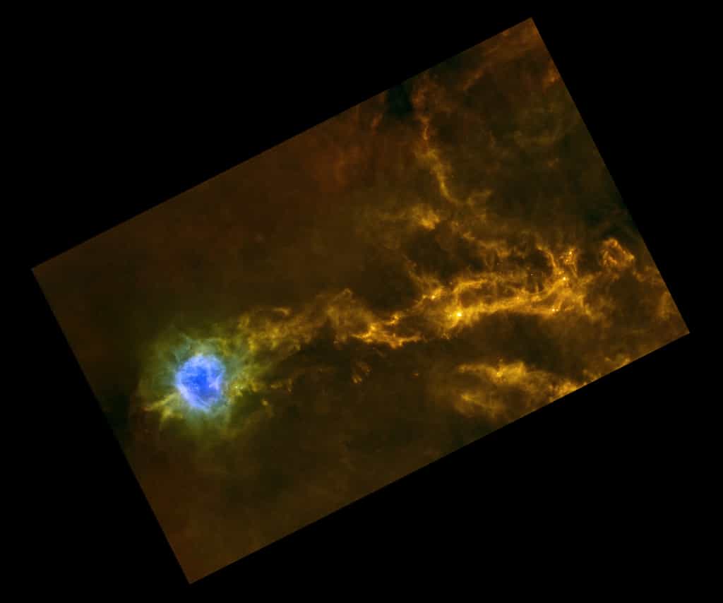 Filaments denses de gaz dans le nuage interstellaire IC5146. Ce nuage est plus connu sous le nom de la nébuleuse du Cocon. Cette nébuleuse mesure près de 15 années-lumière de diamètre et se trouve à quelque 4.000 années-lumière de nous dans la constellation boréale du Cygne. Cette image a été prise par l'observatoire spatial Herschel de l'Esa dans l'infrarouge. Les fausses couleurs correspondent aux différentes longueurs d’onde observées par le télescope (rouge = 350-500 µm, vert = 160-250 µm et bleu = 70 µm). La zone bleue est une nébuleuse éclairée par une étoile massive, plus chaude que le reste. © Esa/Herschel/SPIRE/PACS/D. Arzoumanian (CEA Saclay)