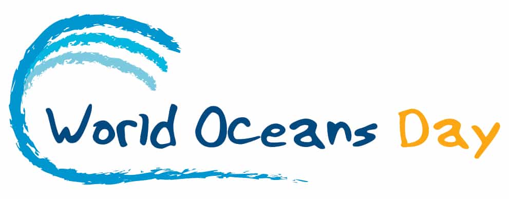 Vendredi 8 juin se déroule la Journée mondiale des océans. © DR
