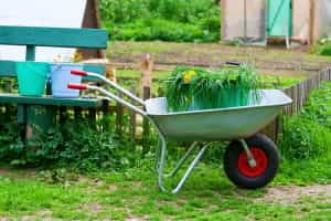 Le milieu non agricole n’utilise que 5% des pesticides, mais il respecte beaucoup moins les doses recommandées. © Dushenina