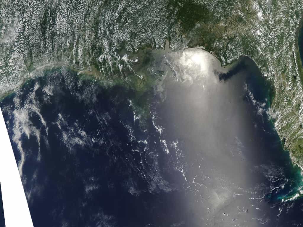 La marée noire repérée le 12 juin par le satellite Aqua, de la Nasa, et son instrument Modis (Moderate Resolution Imaging Spectroradiometer). L'image montre la partie nord-est du golfe du Mexique. La Floride est à droite, avec, en bas,  l'archipel des Keys. On distingue le pétrole sur les côtes nord-ouest de la Floride et, à gauche, sur celles de l'Alabama. © Nasa
