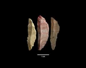 Trois lames découvertes près de Pinnacle Point en Afrique du Sud et datées de plus 70.000 ans. Pour parvenir à fabriquer de tels objets, il faut savoir discuter, expliquer, questionner, transmettre... © Simen Oestmo