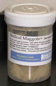 Asticots à usage médical, commercialisés par Monarch Labs.