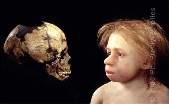 Un enfant néandertalien, une des superbes « reconstructions » réalisées par Élisabeth Daynès, qui travaille avec des paléontologues. L'Homme de Néandertal est une espèce humaine qui a vécu 300.000 ans, en Asie et en Afrique. Son nom vient de l'endroit où le premier squelette a été découvert en 1856 : la vallée de Neander, en Allemagne. Vallée se disant thal en vieil allemand, le h&nbsp;est conservé dans le nom latin Homo neanderthalensis et, par certains, dans le nom francisé.&nbsp;© Ph. Plailly/Eurelios