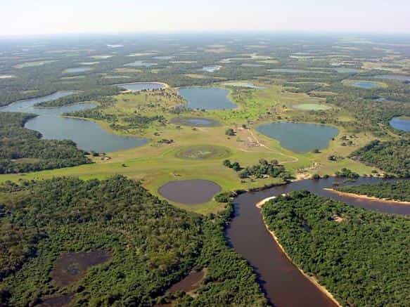 Le Pantanal, plus vaste zone humide du monde, est noyé quatre mois dans l'année. &copy; world66, Wikipédia, cc by sa 1.0