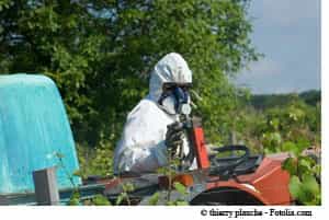 Les pesticides sont probablement une des causes de pathologies atteignant l'appareil génital masculin. © Thierry Planche / Fotolia