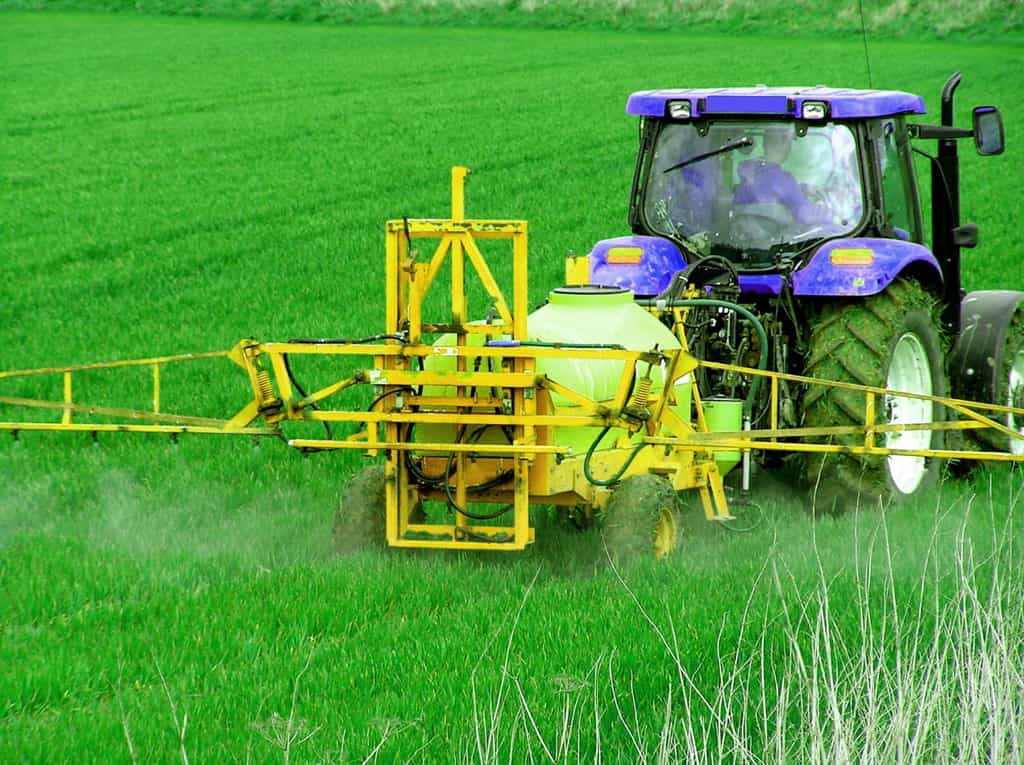Les pesticides épandus sur les cultures laissent des résidus dans la plante après sa récolte. Ces molécules sont mieux contrôlées depuis quelques années. © Peter Baxter
