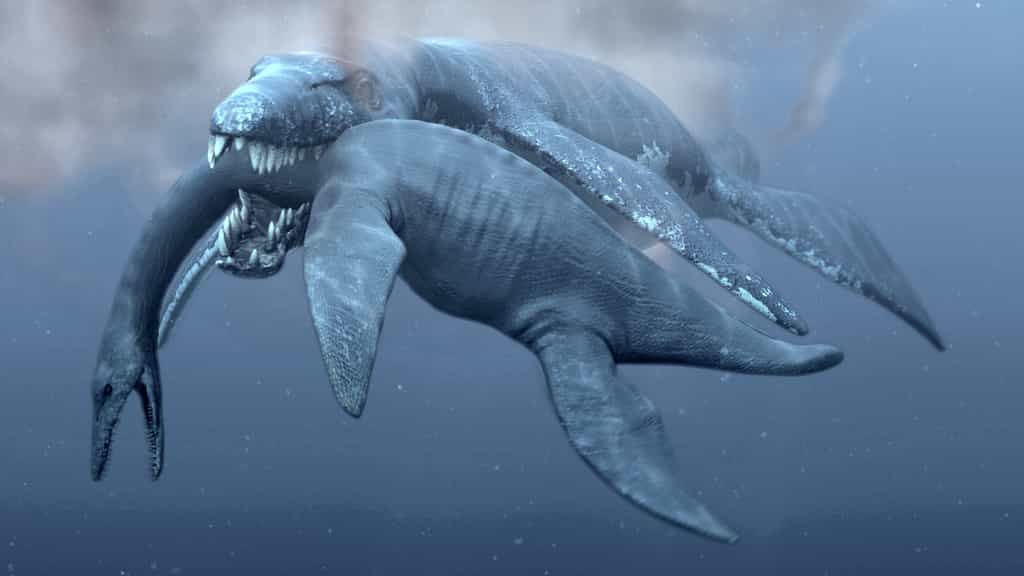 Un Predator X, le surnom d'un pliosaure de 15 m de long, attaque un plésiosaure. Ils font tous les deux partie du groupe des plésiosauriens. © Natural History Museum, University of Oslo