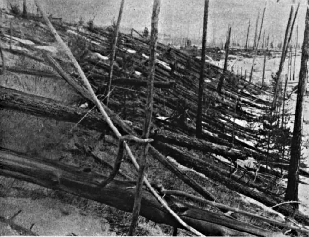 Cette photographie a été prise en 1929 sur le site de l'événement de la Toungouska, en Sibérie.&nbsp;La déflagration de l'explosion&nbsp;a été entendue dans un rayon de 1.500 km.&nbsp;©&nbsp;Yevgeny Krinov, Wikimedia Commons, DP