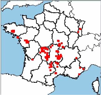 La carte de France des mines d'uranium. Le Limousin et l'Auvergne sont particulièrement bien lotis, ainsi que le nord de la région Midi-Pyrénées et du Languedoc-Roussillon. En tout, environ 200 sites ont un jour été exploités. © IRSN