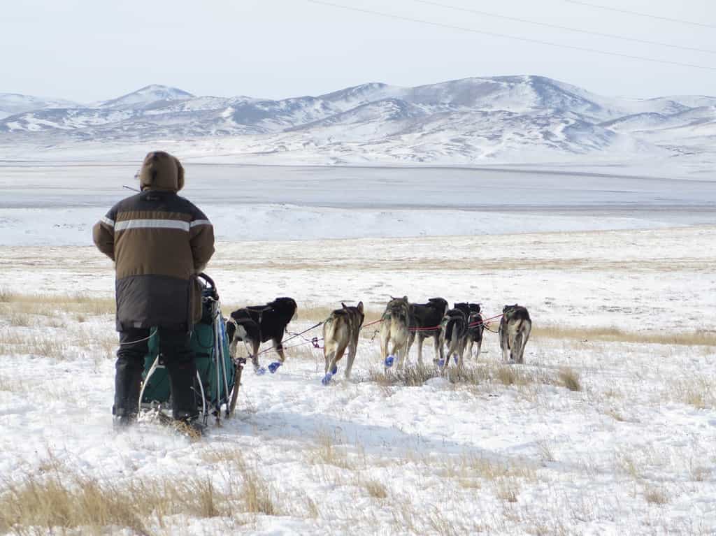 L'Odyssée sauvage est parvenue en Mongolie, « une mer d’herbe et de neige ». © Taïga