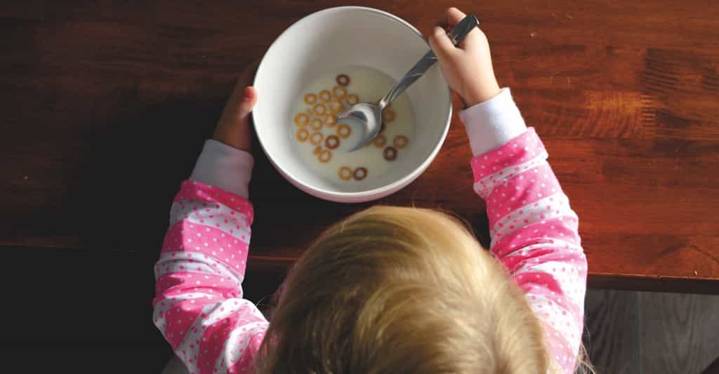 Certaines céréales dont nos enfants se régalent au petit déjeuner contiennent un additif qui pourrait affaiblir leurs défenses immunitaires contre la grippe. © StockSnap, Pixabay License