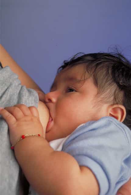 L'allaitement maternel est plutôt conseillé aujourd'hui, même s'il est difficile voire impossible dans certaines situations. Si l'enfant n'a pas tété le sein pendant les six premières heures ou s'il a un défaut anatomique de la bouche (bec de lièvre par exemple), la succion sera altérée et le lait difficilement distribué. L'allaitement est aujourd'hui déconseillé pour les mamans infectées par le virus du Sida, car la transmission de la mère à l'enfant est possible. © Ken Hammond, USDA, Wikipédia, DP