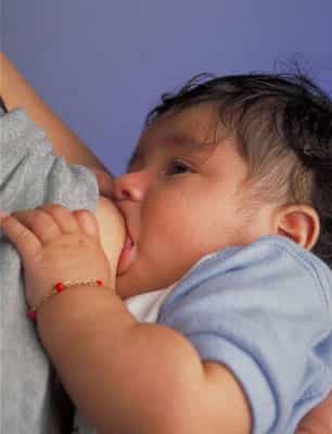 L'allaitement est bon pour l'enfant et sa mère, mais la diversification des aliments serait aussi bénéfique pour contrer les allergies et les carences. © DR