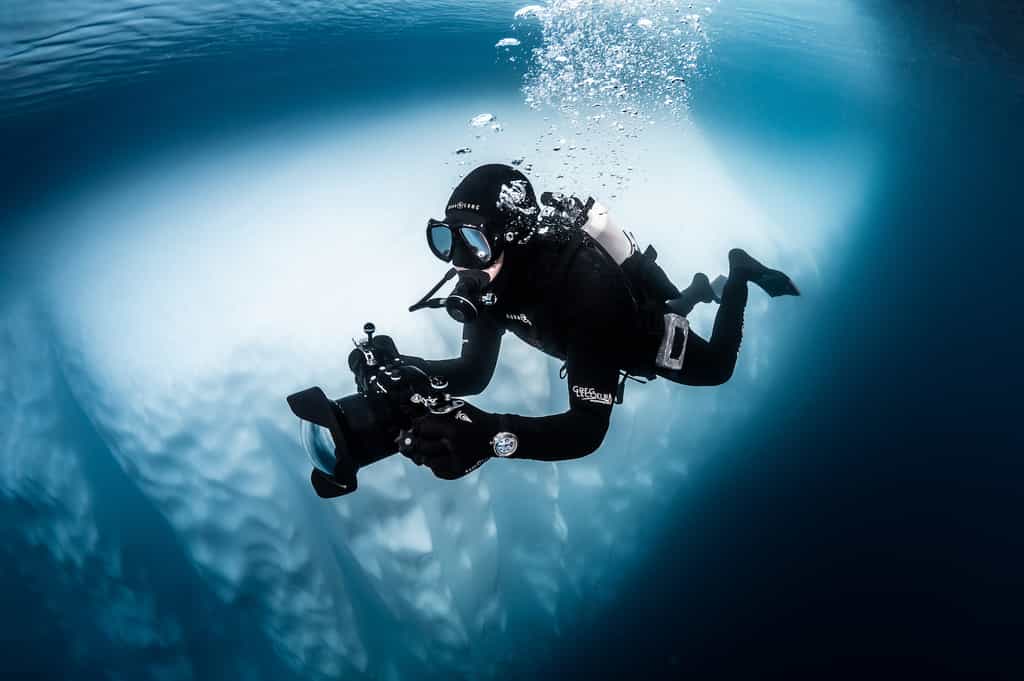 Le photographe Greg Lecoeur a plongé dans les eaux glacées de l’Antarctique pour nous offrir des images rares de cet écosystème hostile et fragile. © Greg Lecoeur, Tous droits réservés