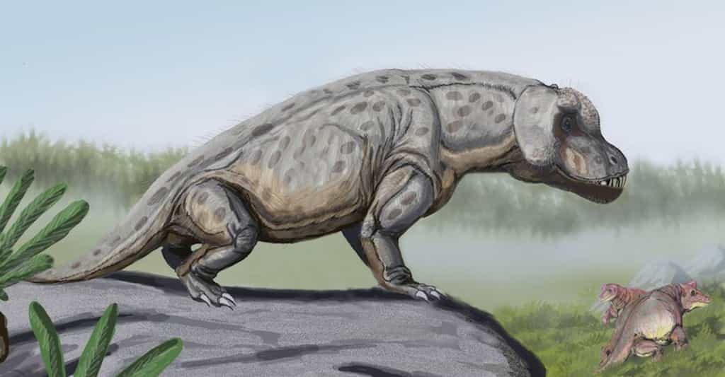 Le terme Antesaurus pourrait être traduit par « lézard d’avant ». L’animal vivait en effet il y a quelque 260 millions d’années. © DiBgd, Wikipedia, CC by 2.5