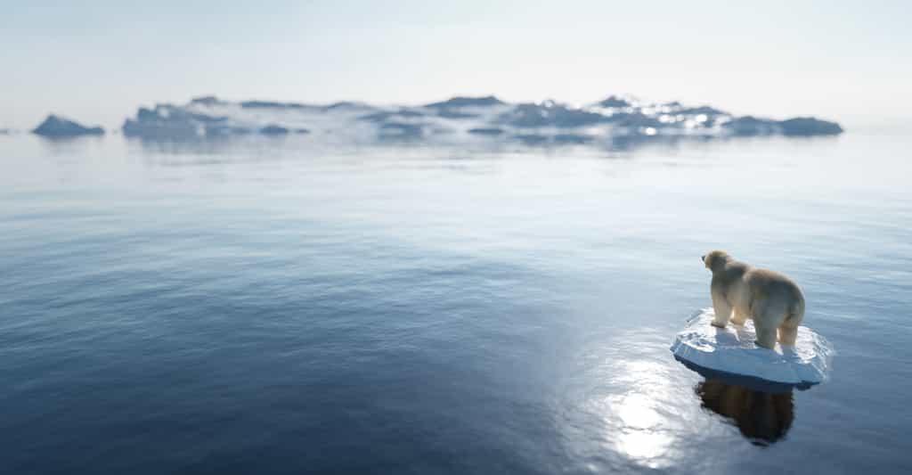 L'Arctique se réchauffe. © Photocreo Bednarek, Adobe Stock