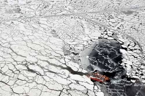 La surface de la banquise de l'Arctique a-t-elle battu un record minimum ? &copy; US Ecological Survey, Flickr, cc by 2.0