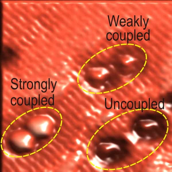 Sur cette image prise au microscope à effet tunnel, les boîtes quantiques constituées d'un seul atome de silicium sont bien visibles. On en voit qui sont couplées, comme des atomes dans une molécule, et d'autres indépendantes. Crédit : Robert A. Wolkow