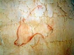 Dans la grotte Chauvet-Pont d'Arc, les hommes, il y a 30.000 ans, ont dessiné l'ours des cavernes, un autre habitant des lieux... © Ministère de la Culture et de la Communication, DRAC Rhône-Alpes, SRA