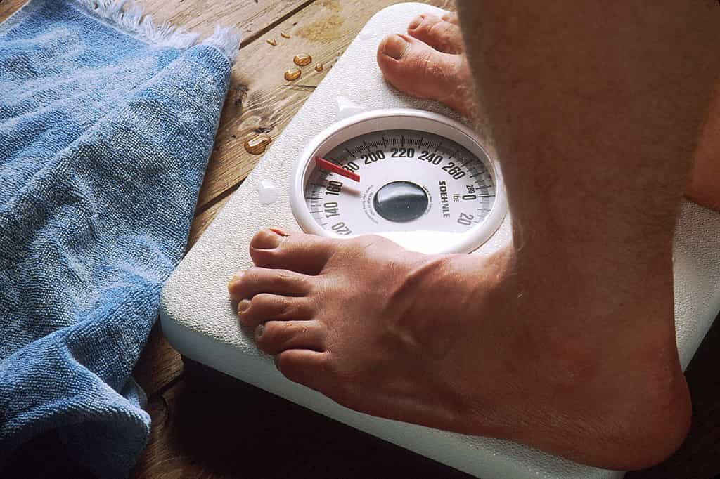 L'ensemble des adultes humains représentent 287 millions de tonnes. Un poids qui devrait continuer à augmenter, d'une part parce que l'obésité progresse toujours, d'autre part car chaque jour dans le monde l'humanité gagne plus de 200.000 personnes. © Bill Branson, NIH, DP