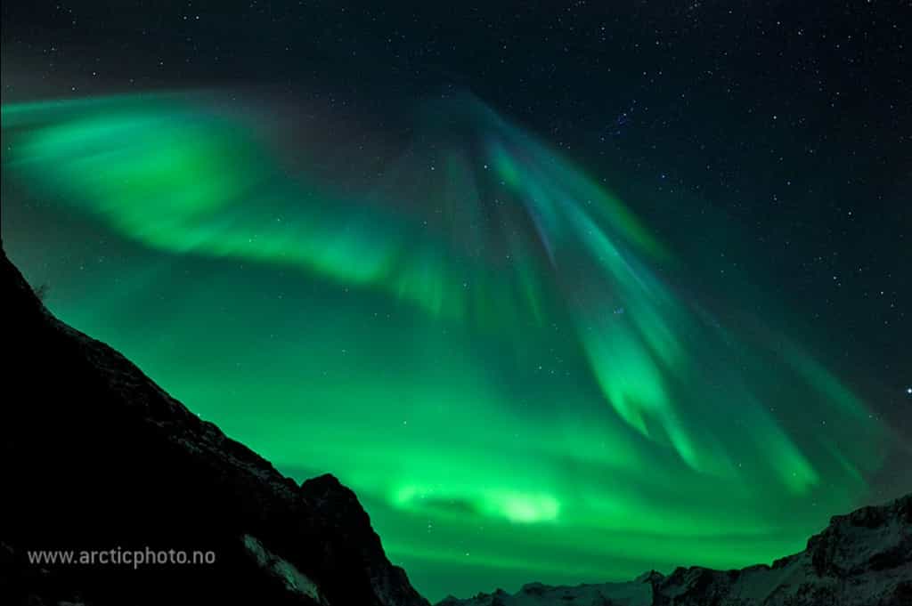 Un éventail céleste se déploie le 22 janvier dans le ciel nocturne de la Norvège. © Bjørn Jørgensen (http://www.arcticphoto.no/)
