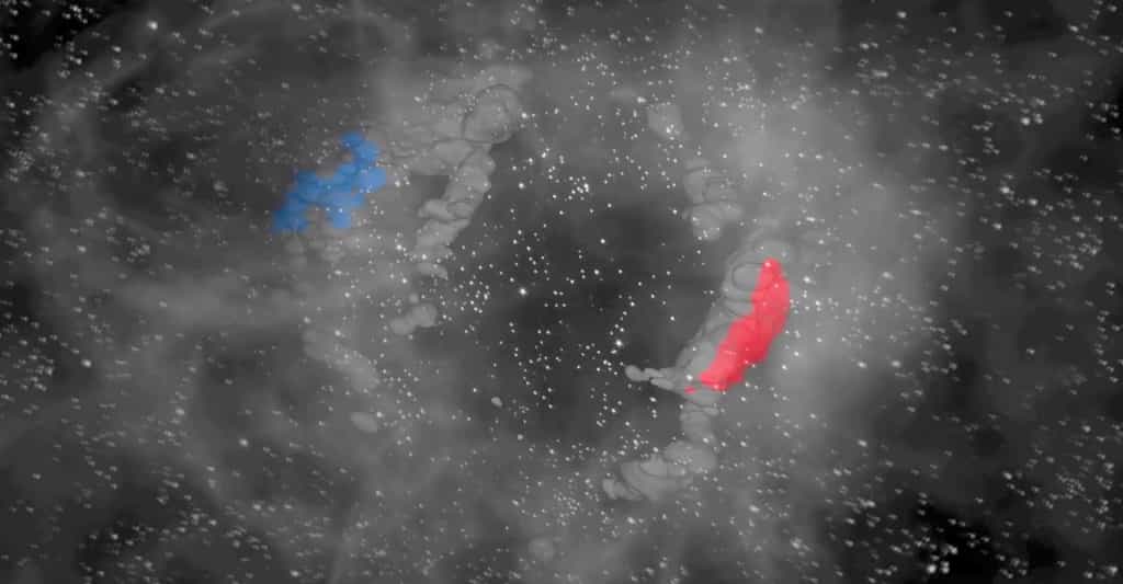Des astronomes de l’université de Harvard ont découvert que deux nuages moléculaires bien connus des chercheurs, le nuage de Persée — ici en rouge — et le nuage du Taureau — ici en bleu — se situent à la surface d’une cavité, d’une sorte de trou de matière béant. De quoi éclairer d’un jour nouveau le processus de formation des étoiles. © Jasen Lux Chambers, Centre d’astrophysique de l’université de Harvard