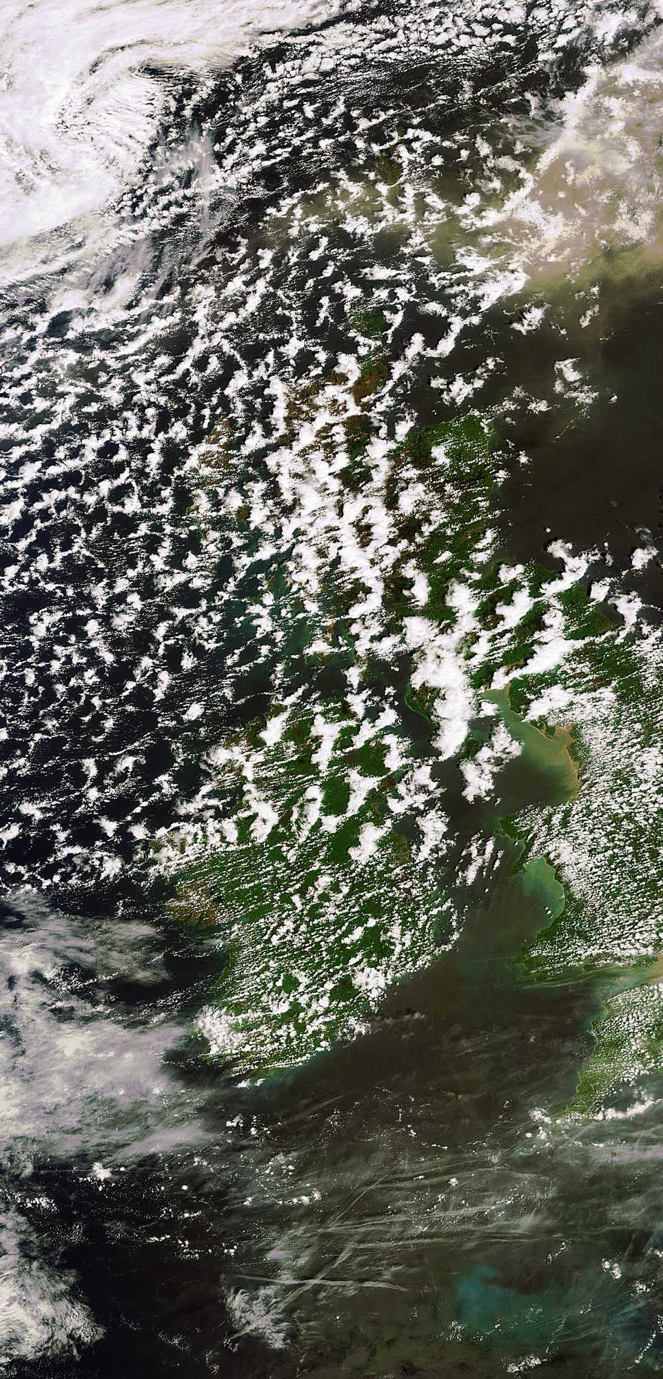 Cette image du nuage de cendres émis par le volcan islandais Grímsvötn a été prise le 24 mai par la caméra Meris (Medium Resolution Imaging Spectrometer) du satellite Envisat avec une résolution de 300 mètres. © DR