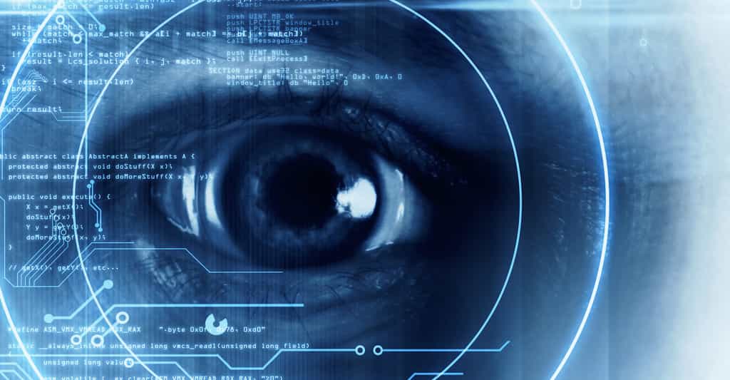 Les chercheurs comprennent mieux comment notre cerveau traite les informations reçues par nos yeux. De quoi peut-être aider à concevoir des systèmes de vision artificielle optimisés. © peshkov, Fotolia
