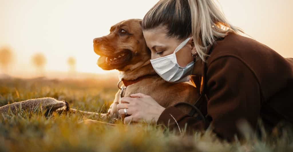 Au Texas, un chat et un chien sont les premiers animaux à avoir été testés positifs à un variant du coronavirus.&nbsp;© MT-R, Adobe Stock