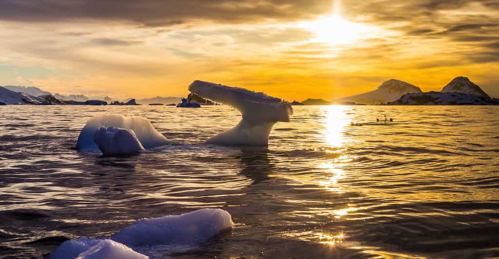 En 2020, il a fait anormalement chaud sur l’Antarctique. © Stanislav, Adobe Stock