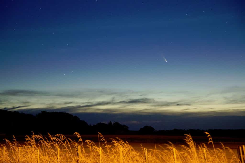 Réalisée le premier jour du mois de mars en Nouvelle-Zélande, cette image de la comète Panstarrs au crépuscule donne une bonne idée de ce qui attend les observateurs de l'hémisphère nord dans quelques jours. © Michael White