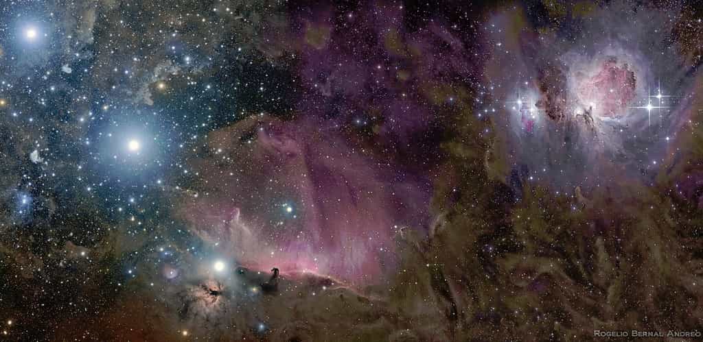 Cette somptueuse image de la constellation d'Orion d'où émerge la nébuleuse de la Tête de cheval a remporté l'an passé le premier prix dans la catégorie ciel profond. © Anthony Ayiomamitis 