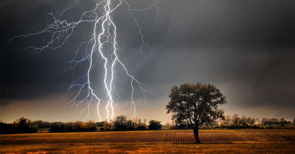 Images Spectaculaires De La Formation De La Foudre Film e En Slowmotion