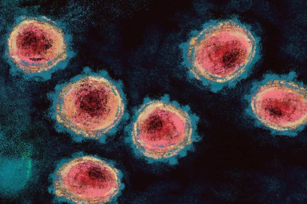 Le coronavirus modifie les cellules qu'il infecte en leur faisant pousser des tentacules. © Antonio Rodriguez, Adobe Stock