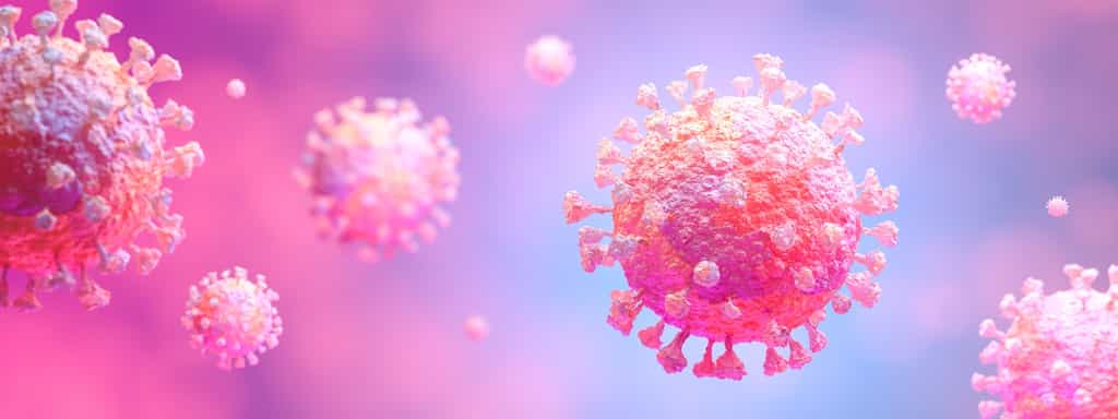 La pandémie mondiale de coronavirus qui sévit depuis un an est-elle la cause de l'augmentation des taux de mortalité ? © Salih, Adobe Stock