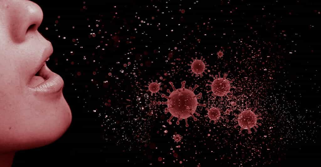 Selon un modèle développé par des mathématiciens, la grippe favoriserait la propagation du coronavirus. © mohamed_hassan, Pixabay License