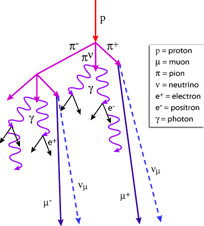 Schéma montrant la complexité des réactions générant des particules secondaires lorsqu'un rayon cosmique, ici un proton, entre en collision avec un noyau. Crédit : Los Alamos National Laboratory