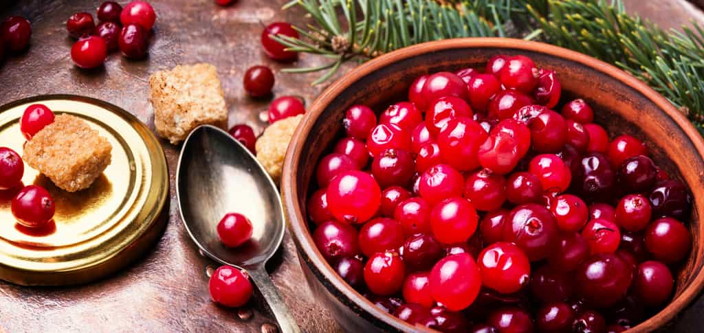 Pour l’Agence nationale de sécurité sanitaire (Anses), « les produits à base de cranberry diminuent l’adhésion sur les parois des voies urinaires de certaines bactéries ». © nikolaydonetsk, fotolia